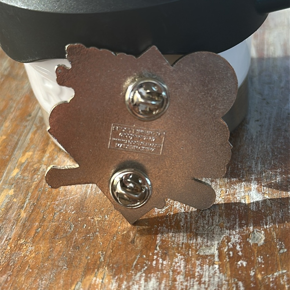 Batbusters Orange County 2011 State Champions pin with softball and broken bat - Picture 2 of 2
